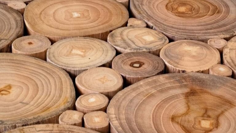 Benefits Of Using Teak Lumber