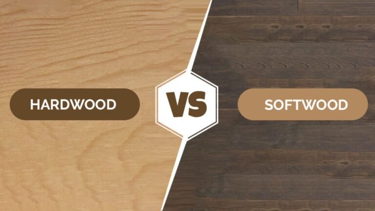 Differences Between Softwood And Hardwood Lumber