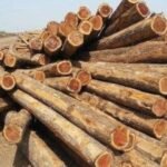 Eco-Friendly Uses Of Teak Lumber