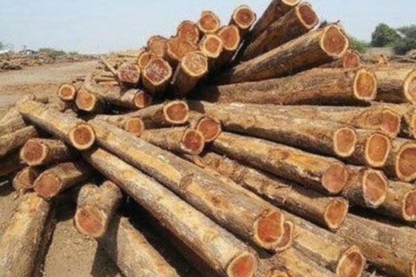 Eco-Friendly Uses Of Teak Lumber