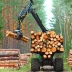 Lumber Industry Innovations And Sustainability