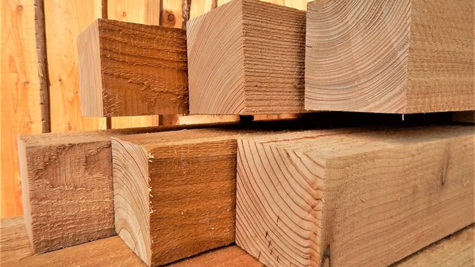 Most Common Types Of Lumber