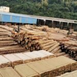 Saving Money When Buying Lumber in Bulk