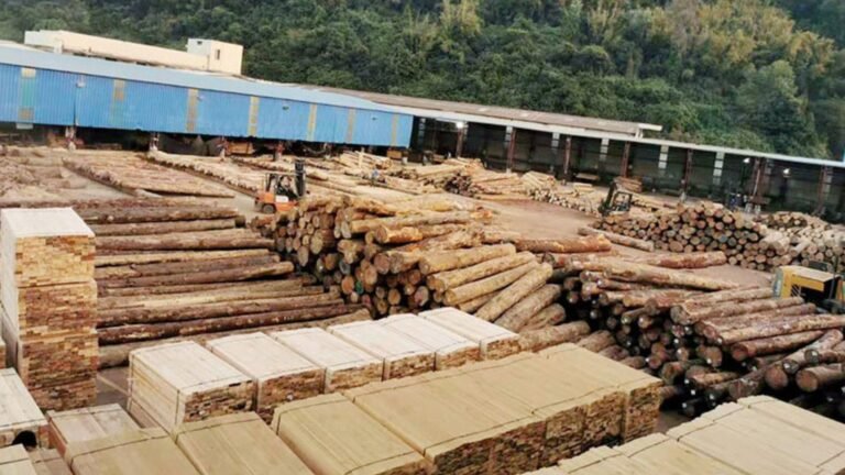 Saving Money When Buying Lumber in Bulk
