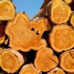 Sustainable Sources Of Teak Lumber